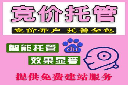 百度推广价格策略：从数据看效果优化
